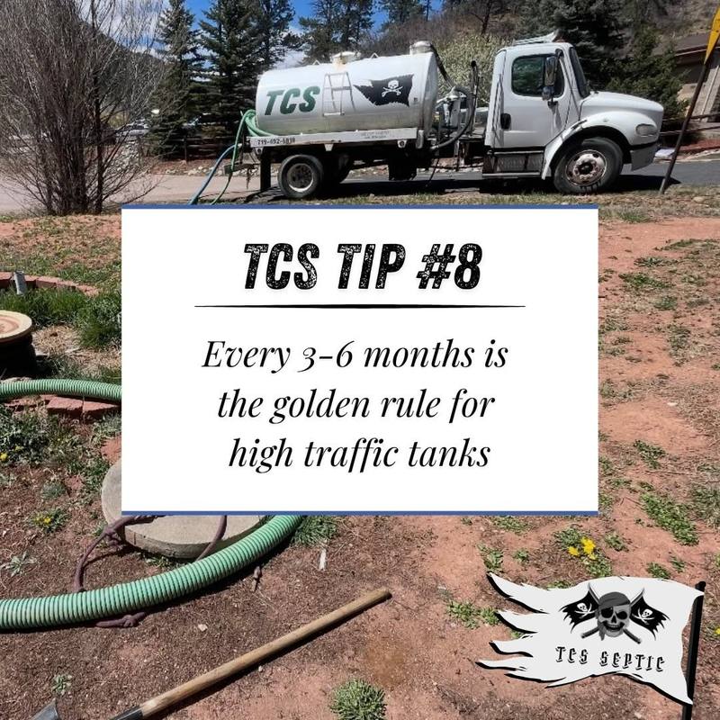 TCS tip #8: Every 3 to 6 months is the golden rule for high-traffic tanks.