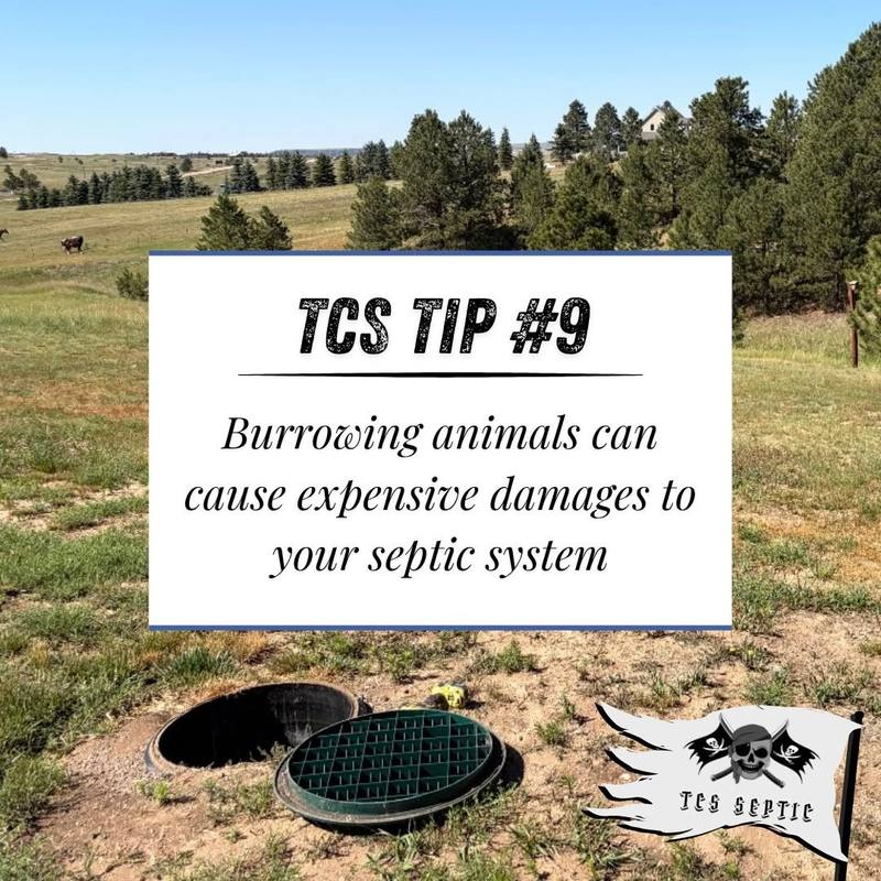 TCS tip #9: Burrowing animals can cause expensive damage to your septic system.